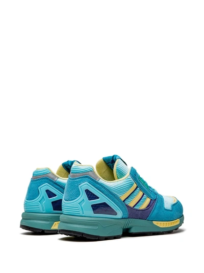 Adidas Originals Zx 8000 Sneakers In Blue