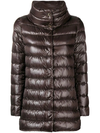 Shop Herno Padded Jacket In 8993 Marrone