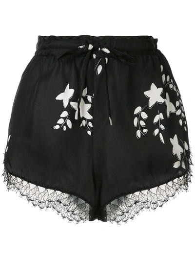 Shop Macgraw St Clair Shorts In Black