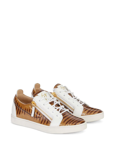 Giuseppe Zanotti Gail Snakeskin-effect Sneakers In Brown