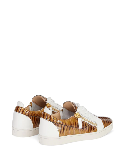Giuseppe Zanotti Gail Snakeskin-effect Sneakers In Brown
