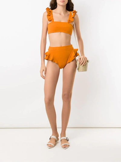 Clube Bossa Turbe Bikini Bottoms In Orange