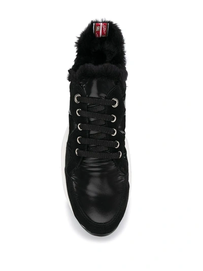 Tosca Blu Two Tone Low Top Sneakers In Black