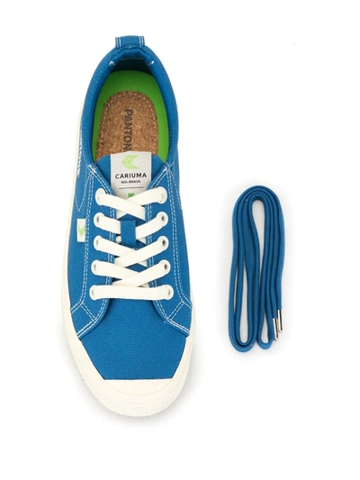 Shop Cariuma X Pantone Oca Low-top Canvas Sneakers In Blue