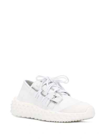 Shop Giuseppe Zanotti Low-top Sneakers In White