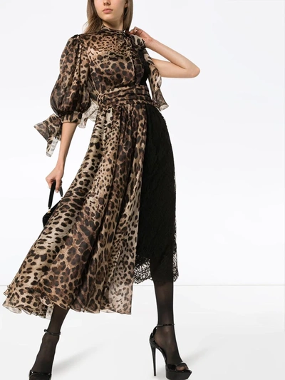 Shop Dolce & Gabbana Paneled Lace Leopard Midi Dress In Black