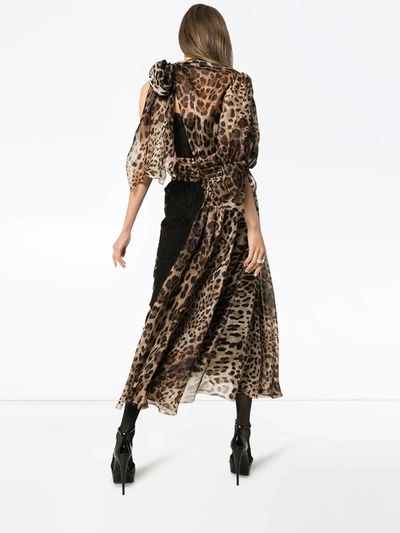 Shop Dolce & Gabbana Paneled Lace Leopard Midi Dress In Black