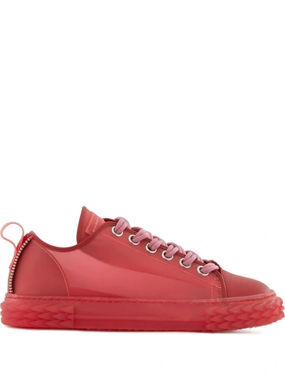 Shop Giuseppe Zanotti Blabber Sneakers In Red