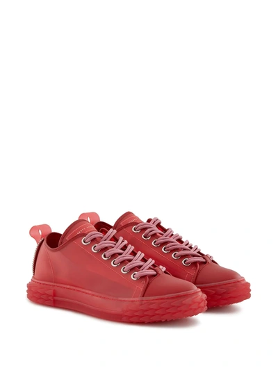 Shop Giuseppe Zanotti Blabber Sneakers In Red