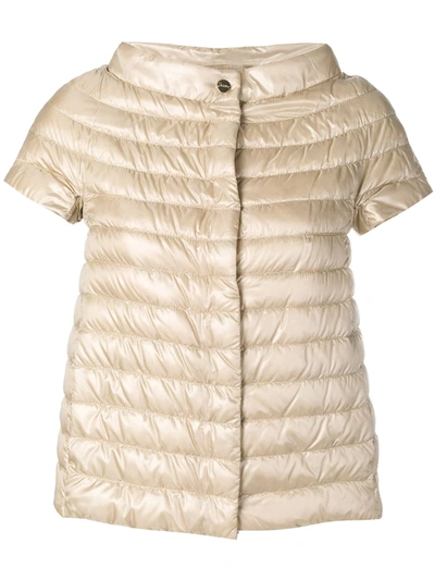 Shop Herno Short-sleeve Feather Down Jacket In Neutrals