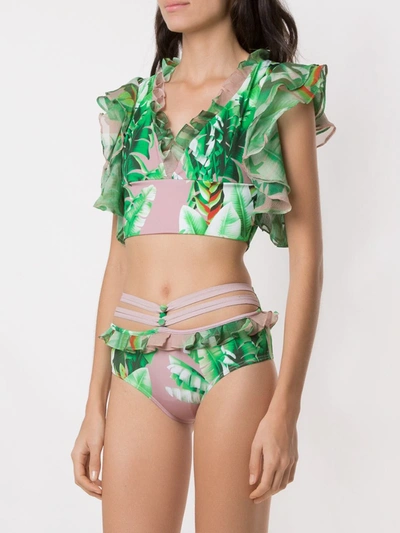 Shop Amir Slama Printed Crop Top Bikini Set In Green