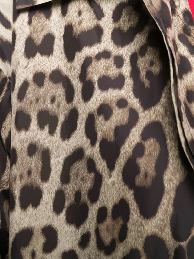 Shop Dolce & Gabbana Leopard Print Coat In Brown