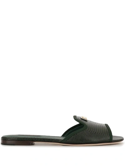 Shop Dolce & Gabbana Lizard-effect Slip-on Sandals In Green