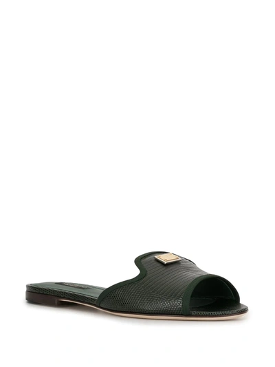 Shop Dolce & Gabbana Lizard-effect Slip-on Sandals In Green