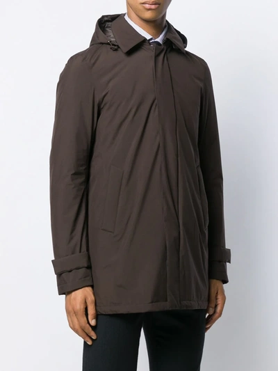 Shop Herno Hooded Parka Coat In Brown