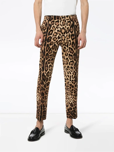 Shop Dolce & Gabbana Leopard-print Tailored Trousers In Brown