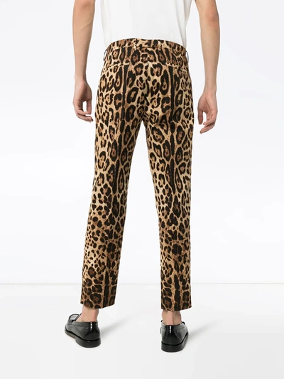 Shop Dolce & Gabbana Leopard-print Tailored Trousers In Brown