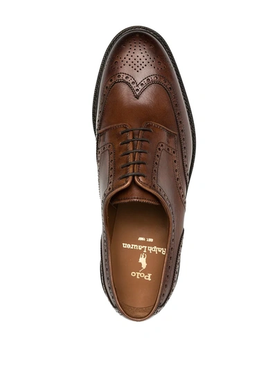 Shop Polo Ralph Lauren Brenton Wingtip Brogues In Brown