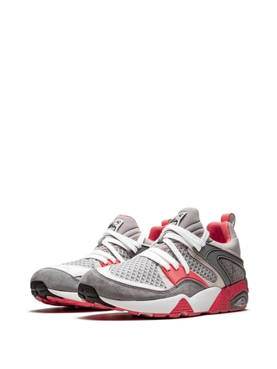 Shop Puma X Staple Blaze Of Glory Og X Staple "pigeon" Sneakers In Grey