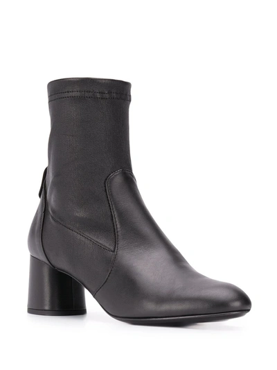 Shop Agl Attilio Giusti Leombruni Stretch Ankle Boots In Black