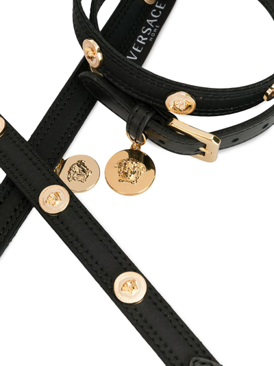 Shop Versace Medusa Stud Harness And Leash Set In Black