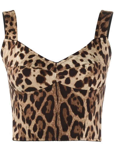 Dolce & Gabbana Leopard-print Charmeuse Bustier Top In Brown