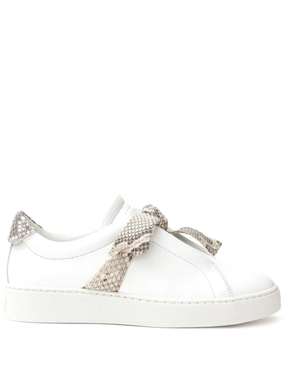 Shop Alexandre Birman Jungle Snake-trimmed Sneakers In White