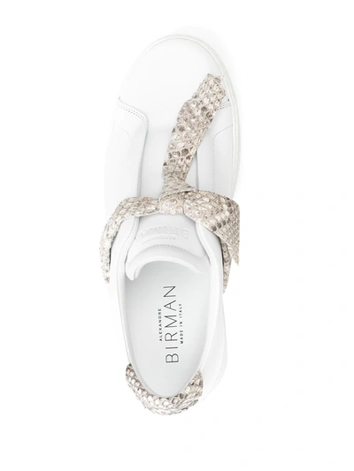 Alexandre Birman Clarita Jungle Genuine Python Bow Sneaker In White