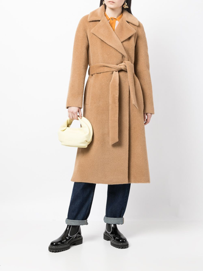 Shop Paule Ka Brushed-effect Belted Coat In Brown