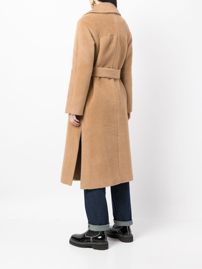 Shop Paule Ka Brushed-effect Belted Coat In Brown