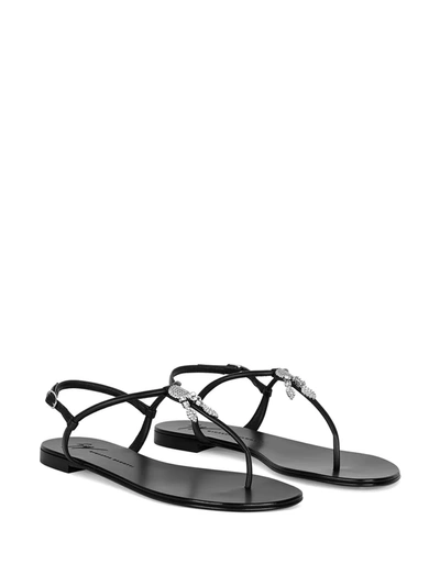 Shop Giuseppe Zanotti Sagitta Leather Sandals In Black