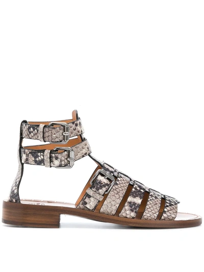 Shop Church's Deb Python-print Gladiator Sandals In Neutrals