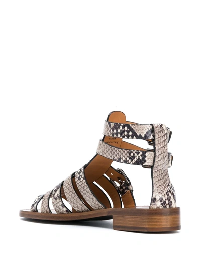 Shop Church's Deb Python-print Gladiator Sandals In Neutrals