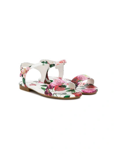Shop Dolce & Gabbana Rose Print Sandals In White