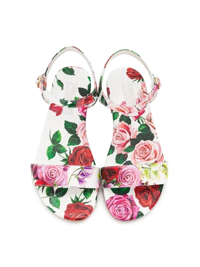Shop Dolce & Gabbana Rose Print Sandals In White