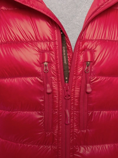 Shop Canada Goose Padded Jacket In Red