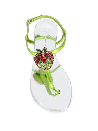 Shop Giuseppe Zanotti Berry Sandals In Green