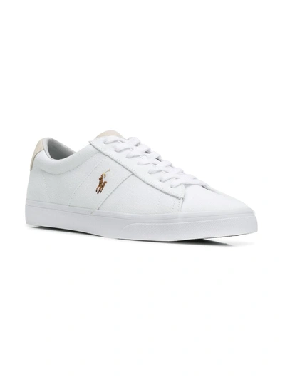 Shop Polo Ralph Lauren Lace-up Sneakers In White