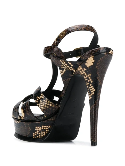 Saint Laurent Snakeskin Effect 105mm Sandals In Brown