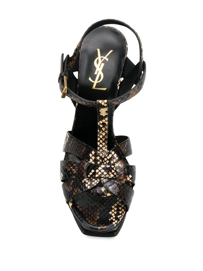 Saint Laurent Snakeskin Effect 105mm Sandals In Brown