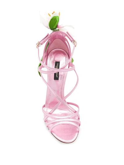 Shop Dolce & Gabbana Kiera Lily-embroidered Sandals In Pink