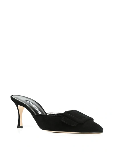 Manolo Blahnik Maysale Pinstripe Buckle Mules In Black