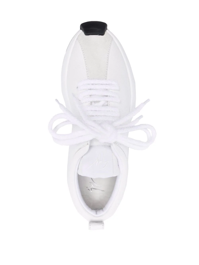 Shop Giuseppe Zanotti Low Lace-up Sneakers In White