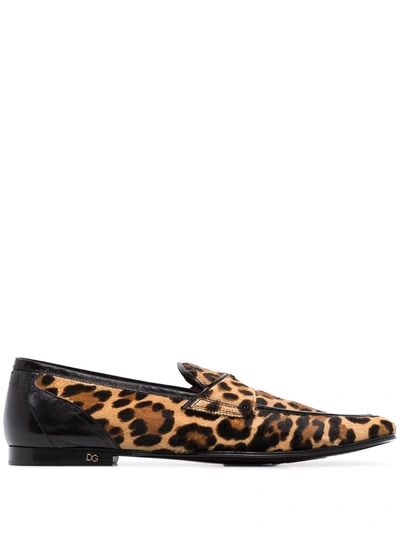 Shop Dolce & Gabbana Erice Leopard Print Loafers In Brown