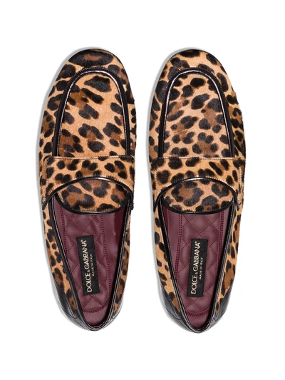 Shop Dolce & Gabbana Erice Leopard Print Loafers In Brown