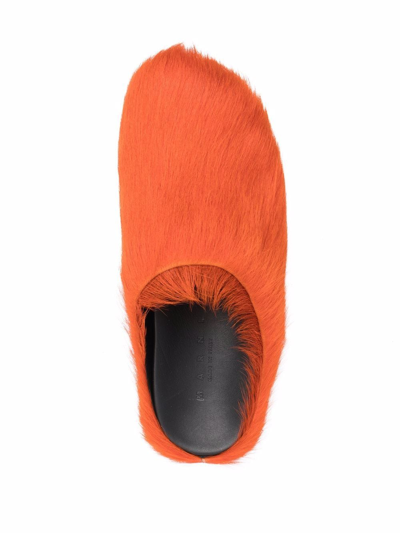 Shop Marni Fussett Sabot Calf-hair Mules In Orange