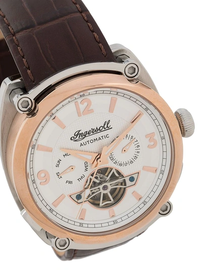 Shop Ingersoll Watches 1892 The Michigan Chronograph Watch In Brown