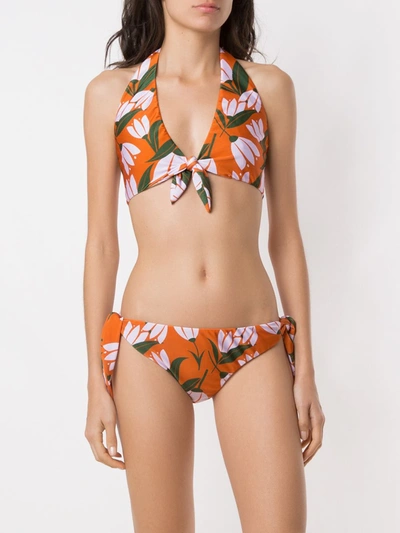 Shop Adriana Degreas Printed Halter Neck Biniki Set In Multicolour