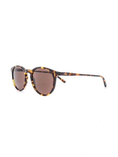Shop Polo Ralph Lauren Round Tortoiseshell Sunglasses In Brown