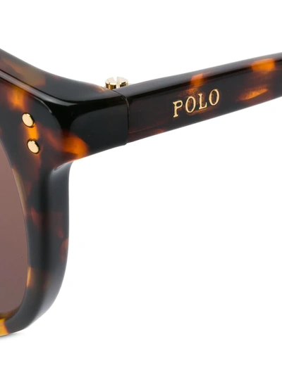 Shop Polo Ralph Lauren Round Tortoiseshell Sunglasses In Brown